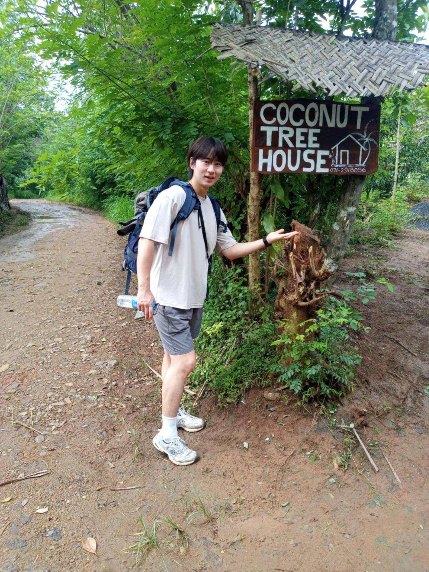 Coconut Tree House Hotel อุดาวาลาเว ภายนอก รูปภาพ