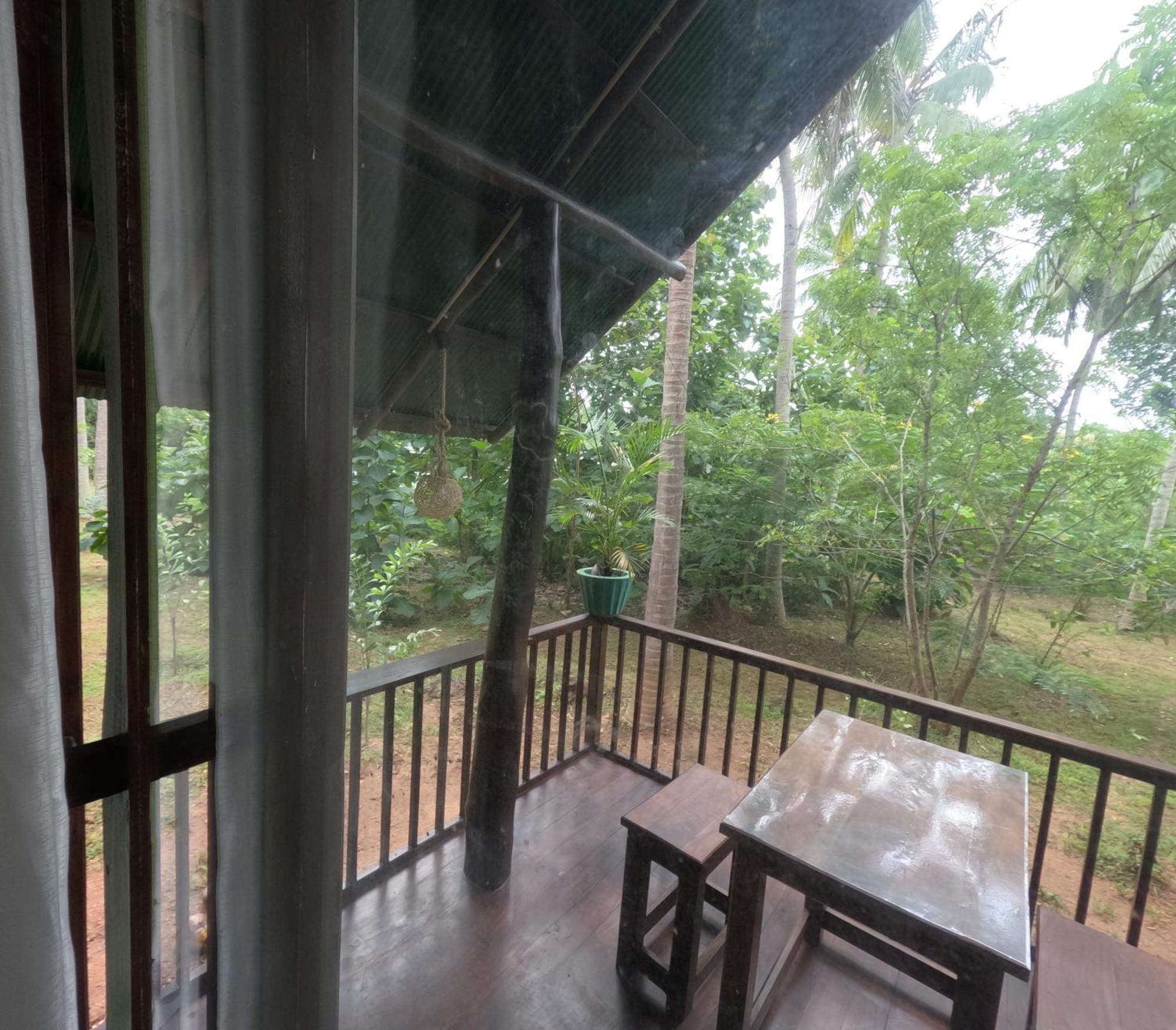 Coconut Tree House Hotel อุดาวาลาเว ภายนอก รูปภาพ
