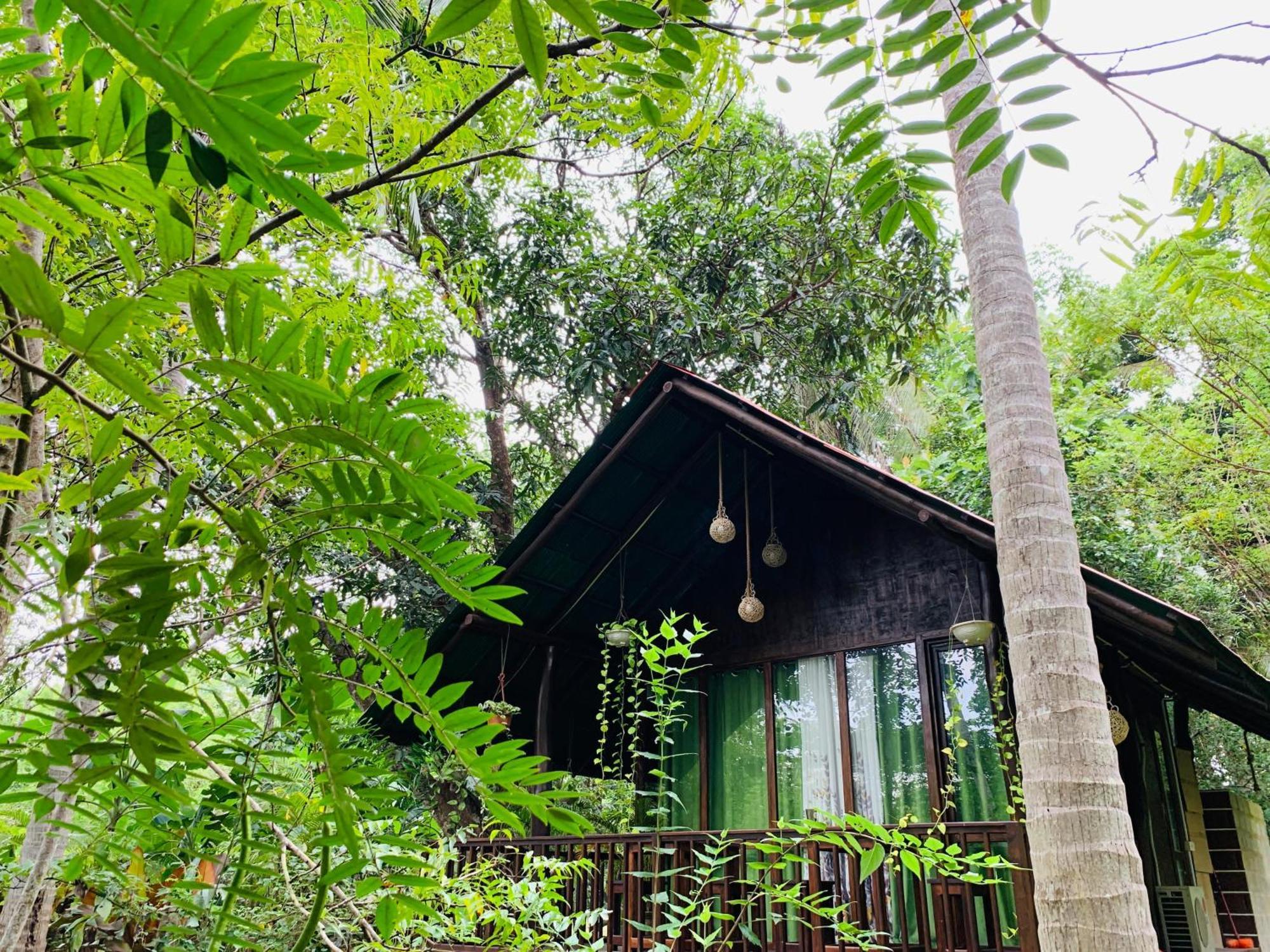 Coconut Tree House Hotel อุดาวาลาเว ภายนอก รูปภาพ